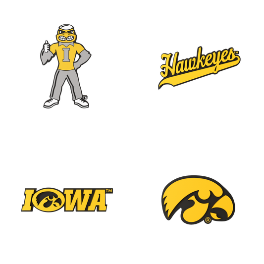 Budz | Iowa Hawkeyes | 4-Pack Bundle image 1